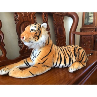 Gấu của Nở