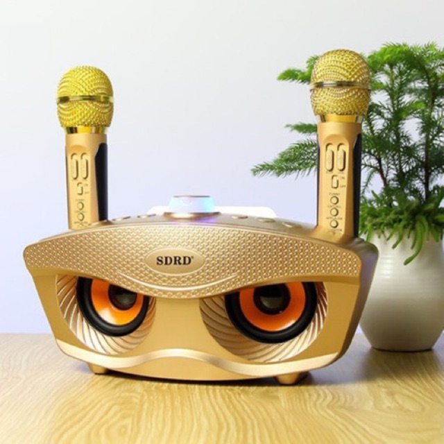 Loa Karaoke SD 306 Kèm 2 Mục Không Dây Siêu Hay