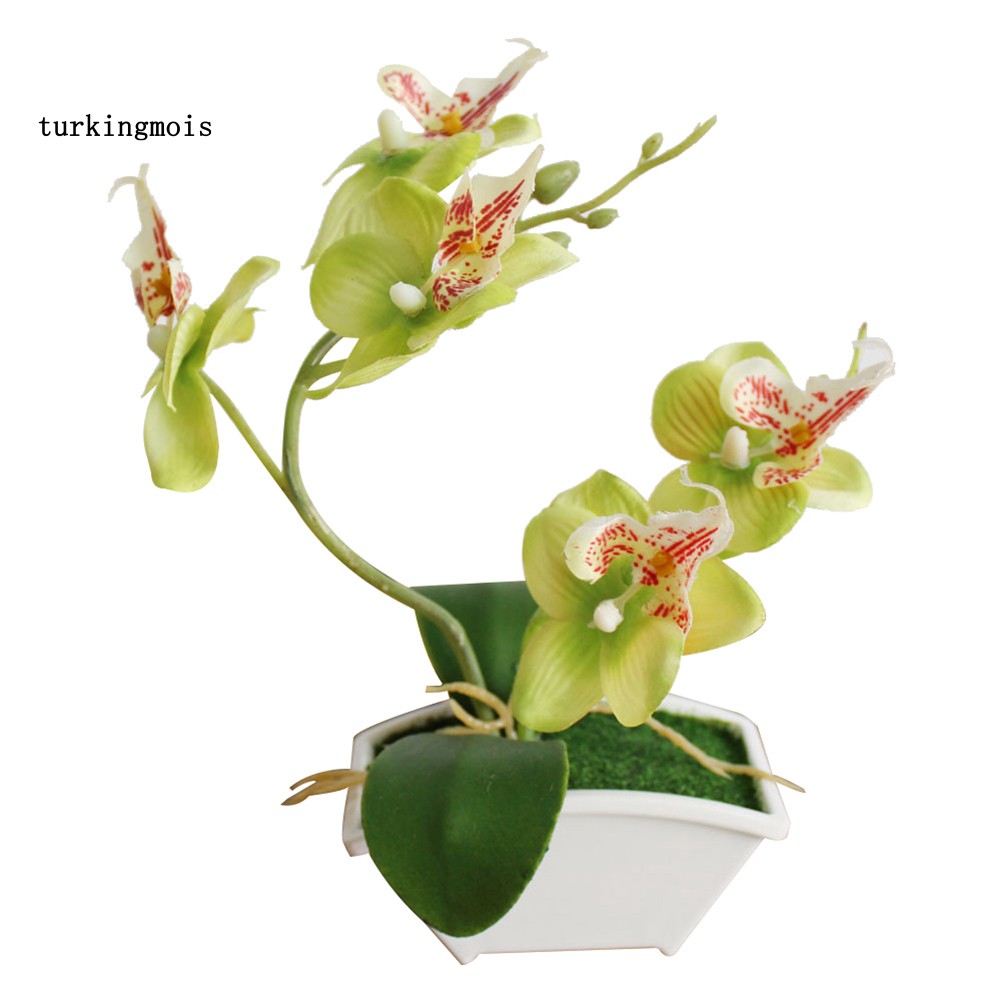 Chậu Hoa Lan Cánh Bướm Nhân Tạo Dùng Trang Trí Nhà Cửa / Văn Phòng