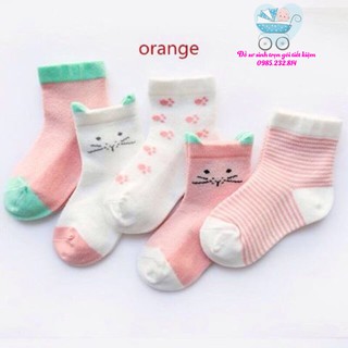 SET 5 ĐÔI TẤT LEN CỔ CAO CHO BÉ