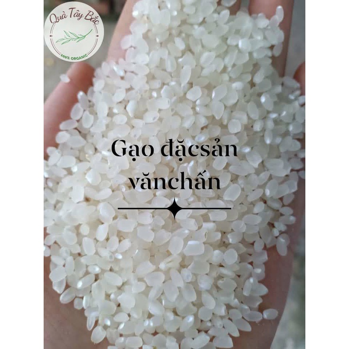 Gạo sén cù hạt tròn đặc sản gạo Văn Chấn - Yên Bái | WebRaoVat - webraovat.net.vn