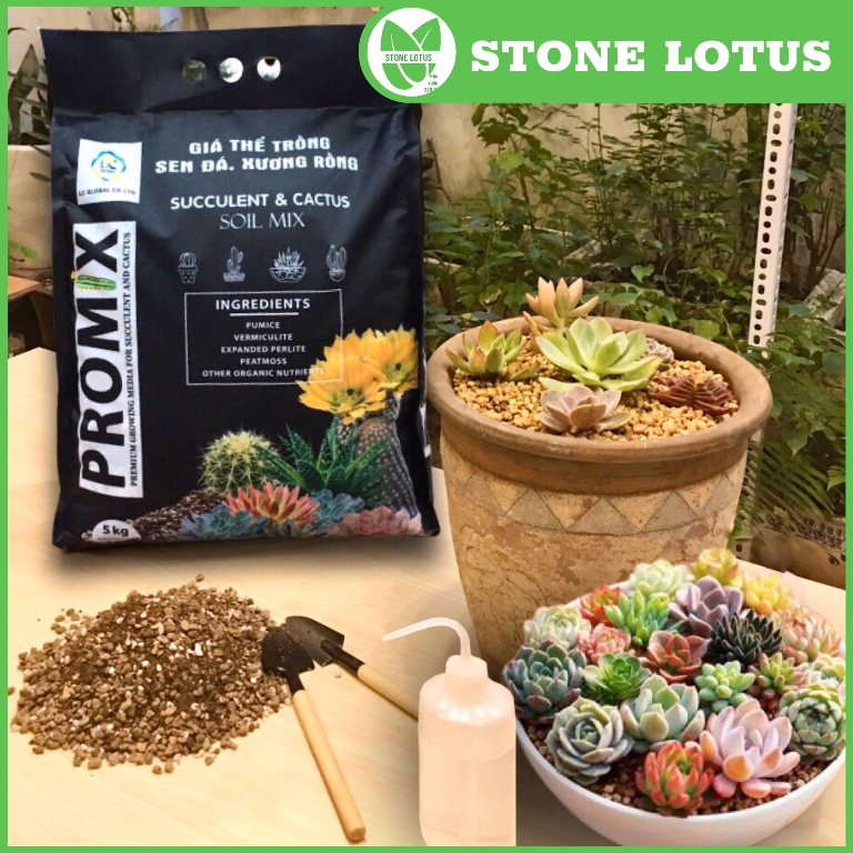 Giá Thể Đất Trồng Sen Đá, Xương Rồng SOIL MIX Tơi Xốp, Thoát Nước, Siêu Phẩm Trồng Sen Đá, Xương Rồng