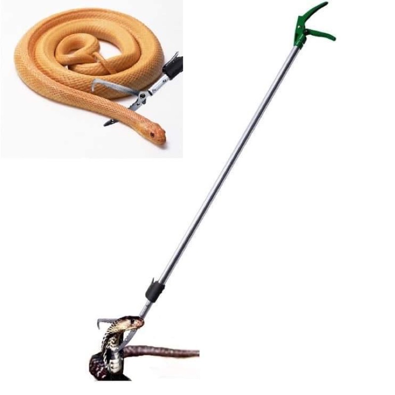 Kẹp bắt rắn, gậy bắt rắn chuyên nghiệp để bắt rắn lớn, giữ an toàn cho người sử dụng