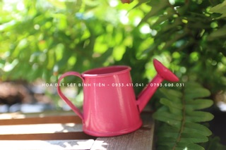 Xô thiết vòi sen