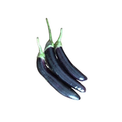 Cà tím hữu cơ