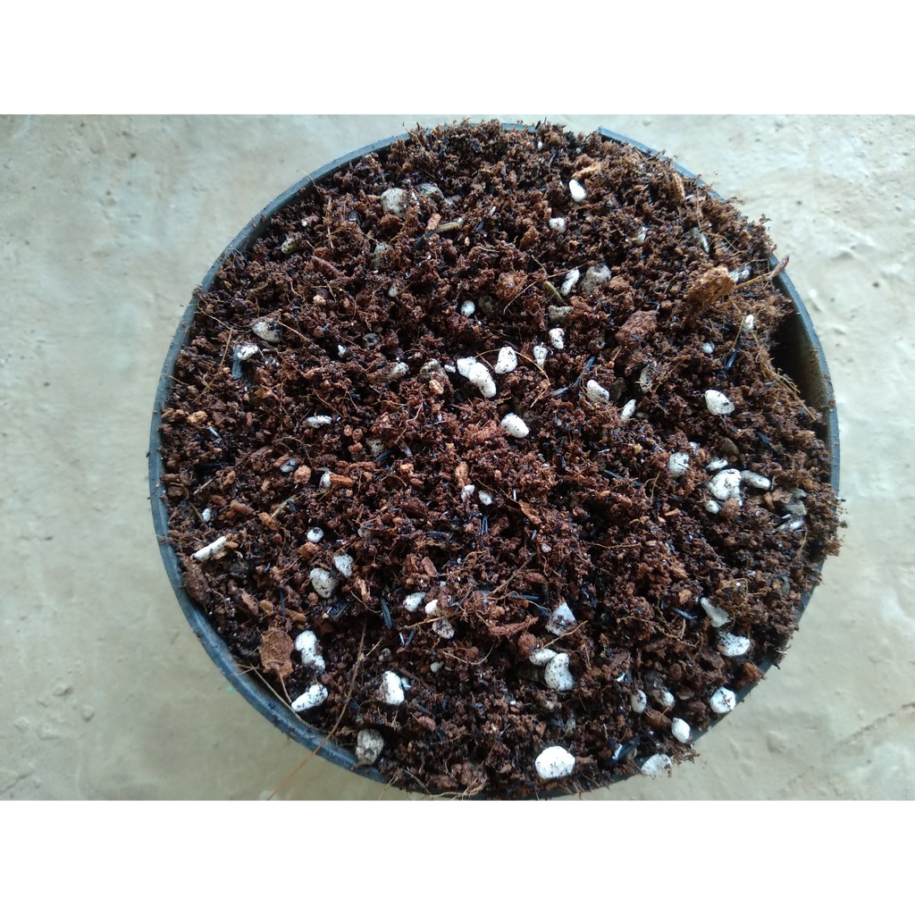 Đất trồng hỗn hợp soil mix dùng trồng rau hoa cây cảnh rau mầm bịch 2lit vuki garden 750gr