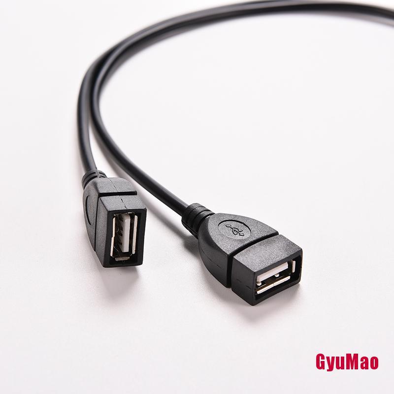 Dây Cáp Chia Tách Chữ Y Từ USB 2.0 A Male Sang 2 Cổng USB 1Gumo Tiện Dụng
