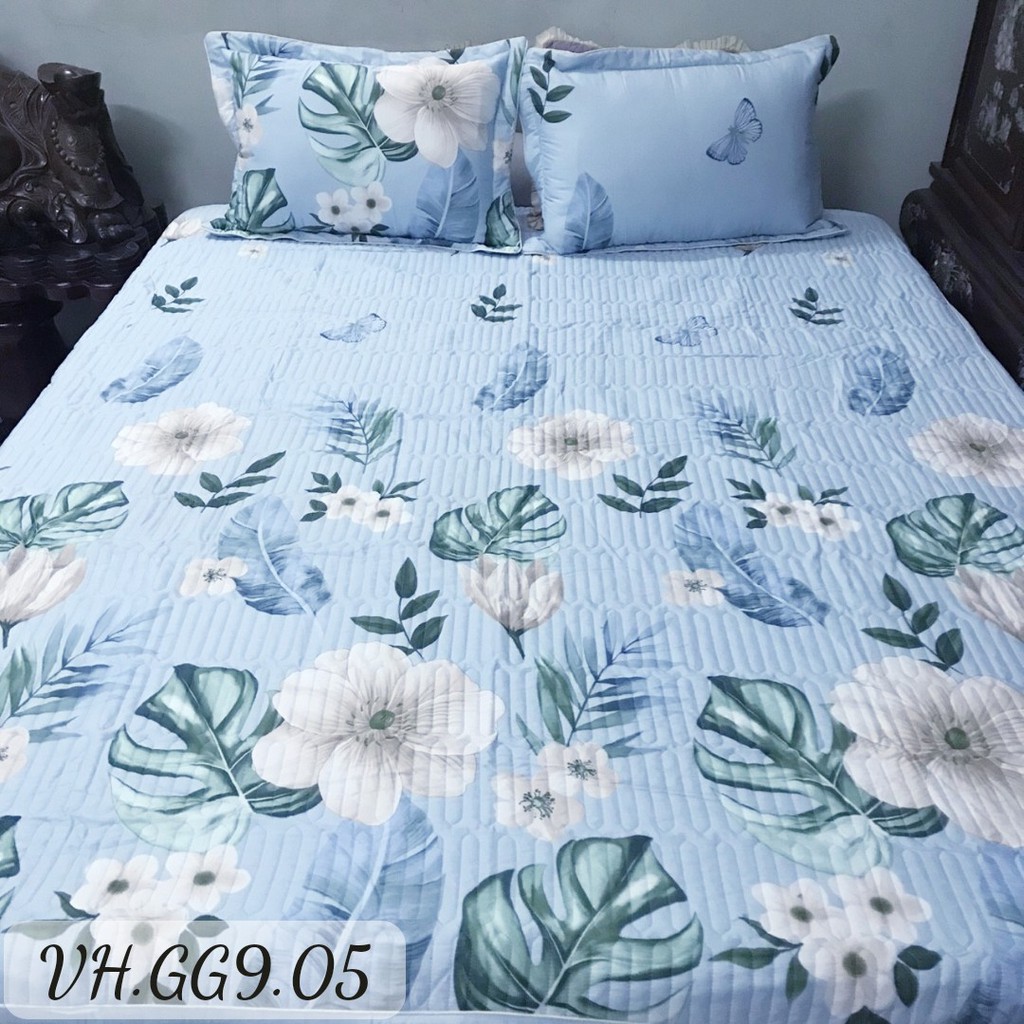 Set ga gối cotton HQ ga trần bông