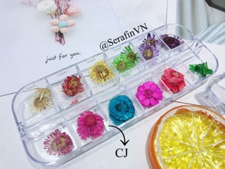 Hoa khô trang trí nến thơm, làm nails