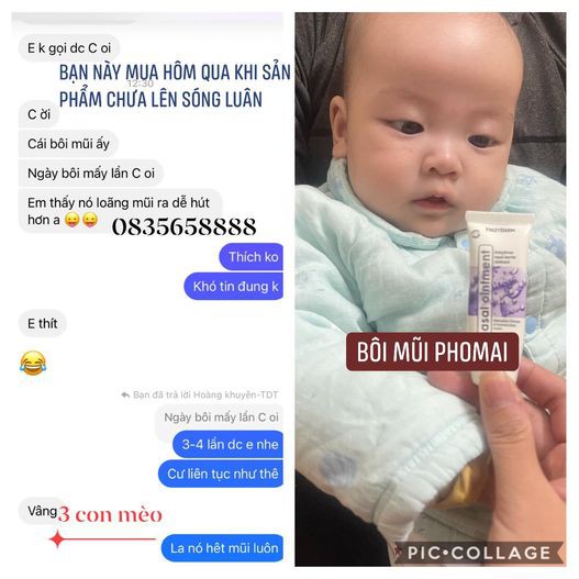 Bôi mũi Phomai Nasal Ointment