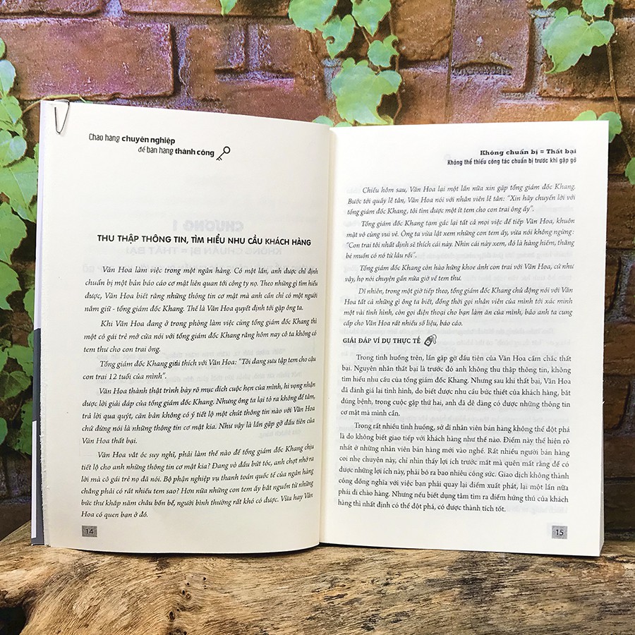 Sách - Chào Hàng Chuyên Nghiệp Để Bán Hàng Thành Công | BigBuy360 - bigbuy360.vn