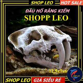 ĐẦU XƯƠNG HỔ RĂNG KIẾM - ĐẦU KHỦNG LONG - HANG THỦY SINH
