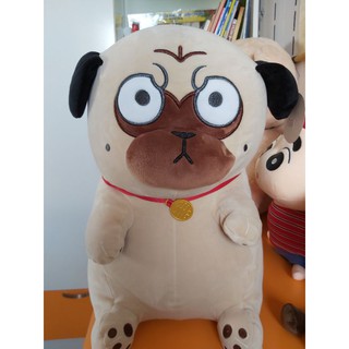 chó mặt "quạu" siêu dễ thương size 20cm