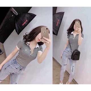 Áo kẻ cổ bẻ thêu cún size s m l_sla9904