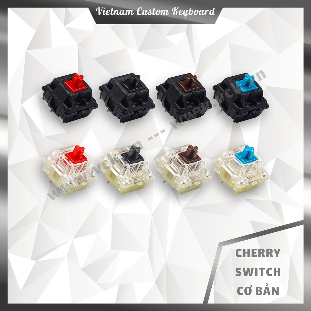 8 Loại Cherry Switch Cơ Bản | Cherry RGB | Cherry Black Retooled | VCK