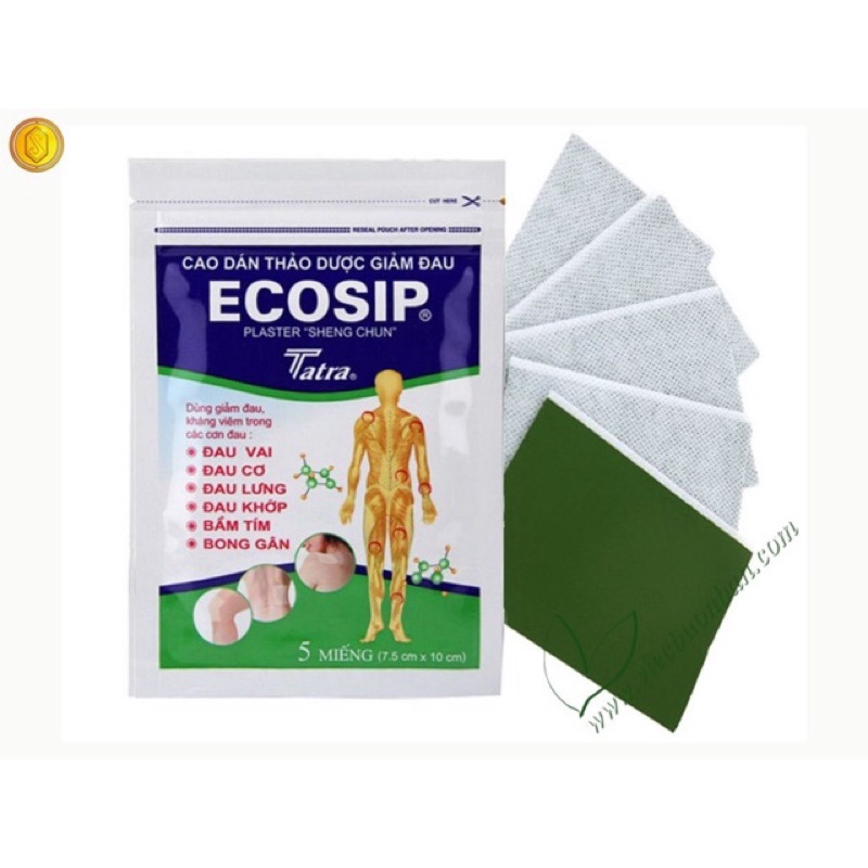Cao Dán Thảo Dược Giảm Đau Ecosip Hộp 20 Miếng