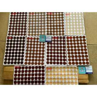 Miếng dán bịt đầu vít vân gỗ - Ngành Gỗ