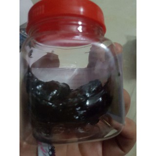 Keo bẫy chim siêu dính