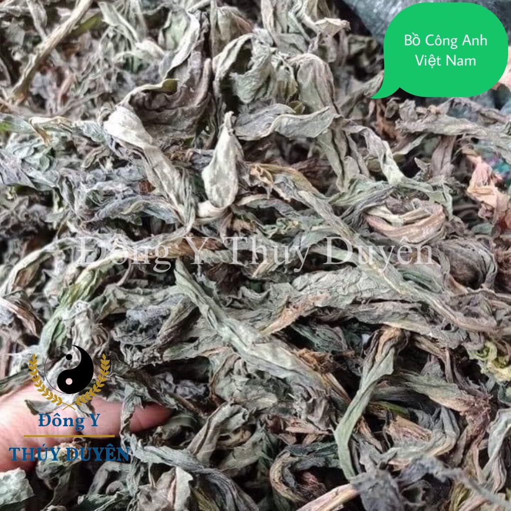 Bồ Công Anh khô 1kg (Hàng chất lượng loại 1)