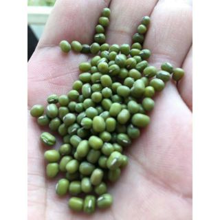 Đỗ xanh nguyên hạt, thơm, ngon, bở