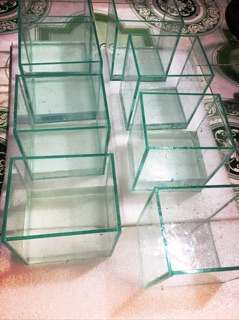 Bể cá mini