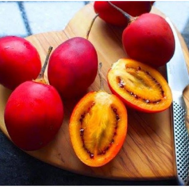 Hạt giống cà chua thân gỗ tamarillo 10 hạt -TẶNG viên nén ươm hạt giống