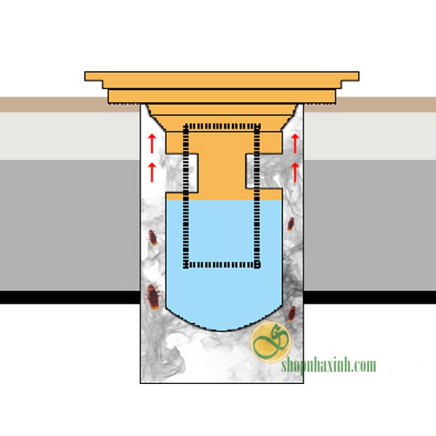 Phễu thu sàn cao cấp, chống hôi, chống côn trùng, chống trào ngược