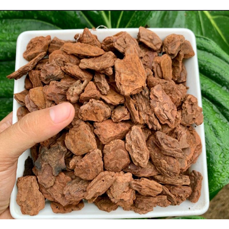 1Kg Vỏ Thông  Trồng Lan &Kiểng Lá