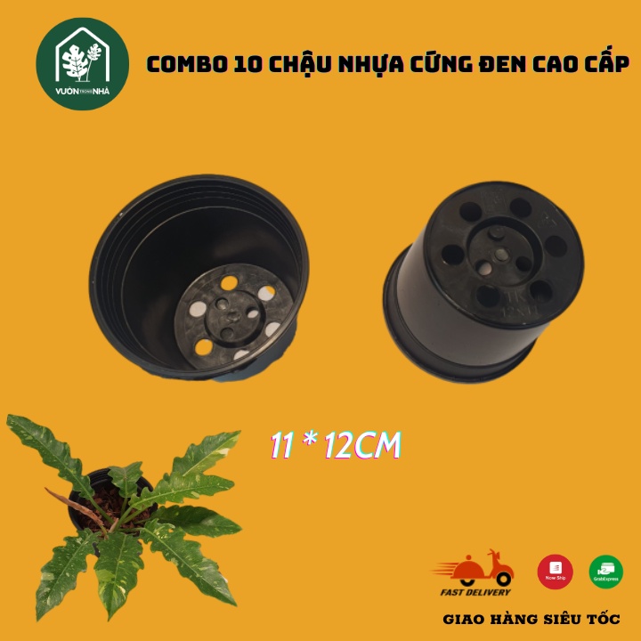 Combo 10 chậu nhựa cứng cao cấp MÀU ĐEN hãng Thakico 11x12cm - Kiểng lá cao cấp