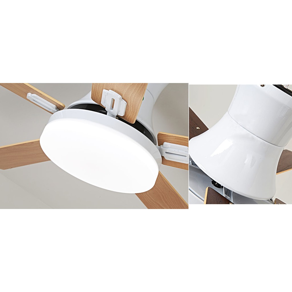 Đèn quạt MONSKY LIONR 5 cánh hiện đại động cơ đồng nguyên chất siêu mát, siêu êm [ẢNH THẬT 100%]