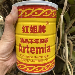 Artemia lon vàng chiếc lẽ 50g 100g