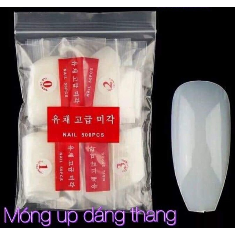 Móng Úp Thang Đục/Trong Giá Thành Hợp Lý