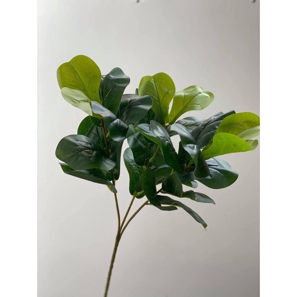 Cây giả/ Cây bàng Singapore 3 nhánh 27 lá cao 70 cm decor siêu đẹp