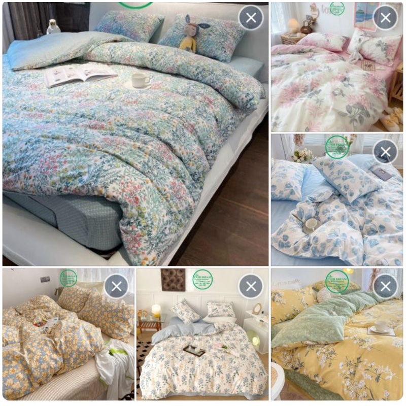 Tặng vỏ gối ôm, Bộ chăn ga gối 4 món, 100% cotton Living nhập khẩu cao cấp, Everdream nhiều mẫu, miễn phí bo chun | BigBuy360 - bigbuy360.vn