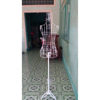 Manocanh sắt nữ cổ cao