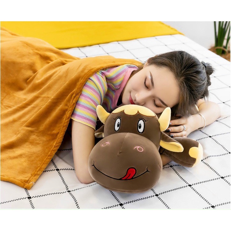 Bộ Gối kèm chăn hình thú siêu kute