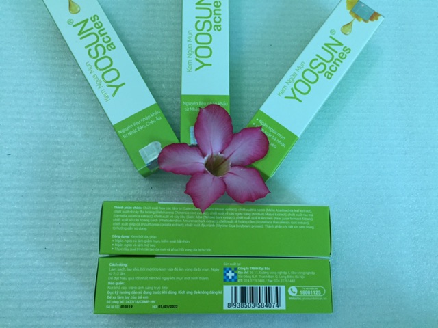 Kem ngừa mụn YOOSUN acnes | BigBuy360 - bigbuy360.vn