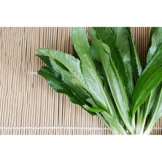 Gói 1g hạt giống ngò gai