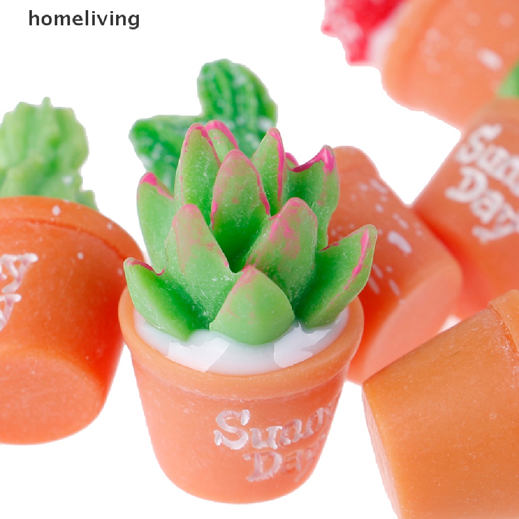 Bộ 5 Cây Xương Rồng Mini Bằng Nhựa Resin Dùng Trang Trí Tiểu Cảnh DIY