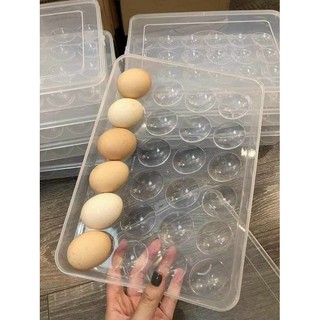 Khay đựng trứng 24 quả