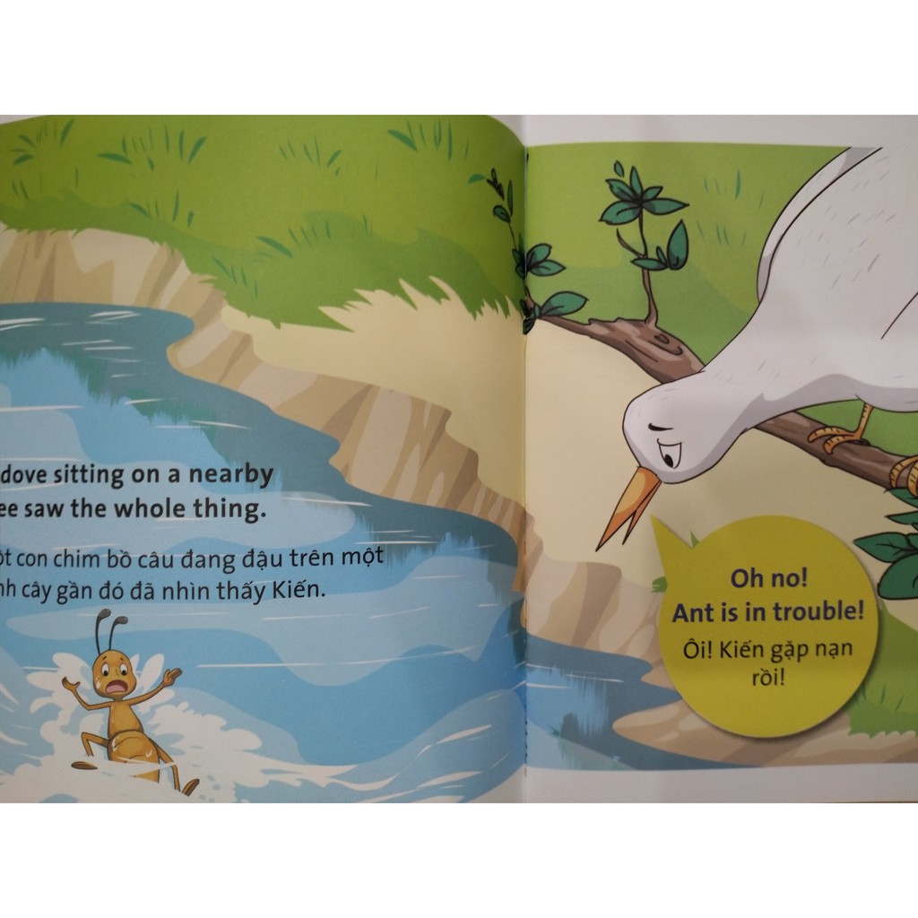Sách - Truyện song ngữ : kiến và chim bồ câu