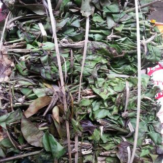 1kg Lá (chè) vằng bó khô