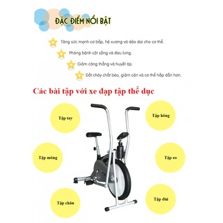Xe đạp tập liên hoàn Life Span