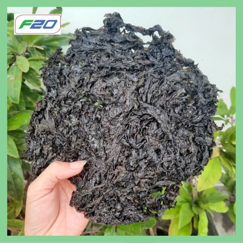 Rong Biển Nấu Canh - Rong mứt Biển Dùng làm cháy tỏi/sấy giòn