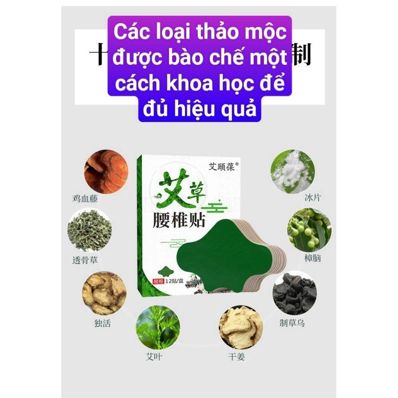 [HÀNG CHUẨN] Miếng Dán Lưng Ngải Cứu Nội Địa Trung, Giảm Đau Hiệu Quả, TADU SHOP