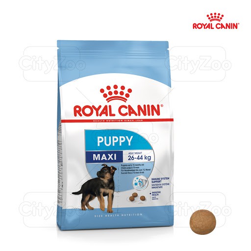 ROYAL CANIN MAXI PUPPY GÓI 1KG