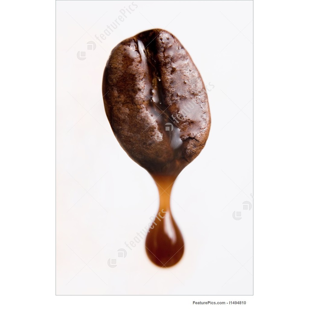 Tinh chất Rayners hương Cà phê - Hương Coffee 28ml - PL871