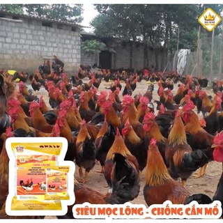 Siêu mọc lông, chống cắn mổ ( hàng chuẩn)