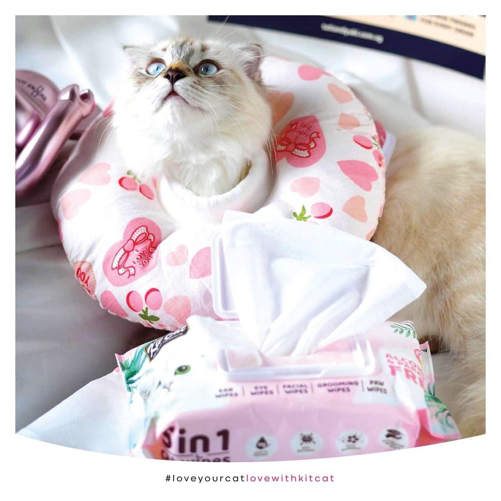 Khăn giấy ướt cho mèo Kit cat wipes 5 trong 1, lau vệ sinh tai mặt chân mèo lớn nhỏ Con Mèo Xiêm