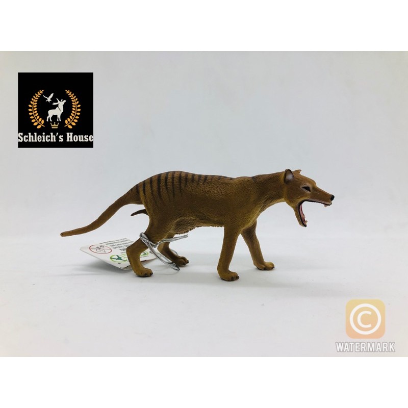 Mô hình động vật CollectA chính hãng Chó sói Tasmania 88767 - Schleich House